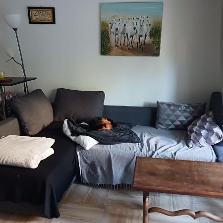 Apartament Rez-De-Jardin Grand Studio Cros-de-Cagnes Zewnętrze zdjęcie
