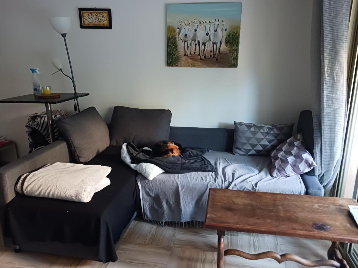 Apartament Rez-De-Jardin Grand Studio Cros-de-Cagnes Zewnętrze zdjęcie